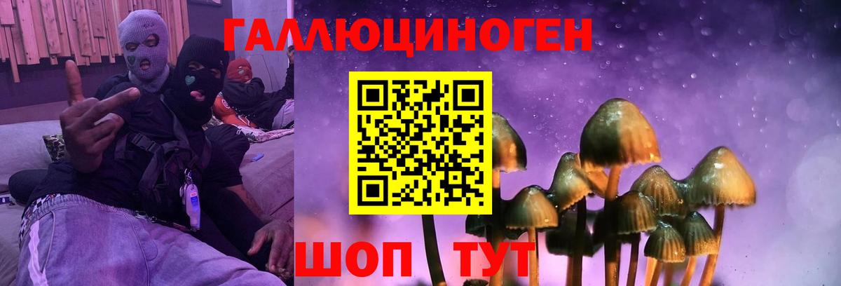Выкса  Псилоцибиновые грибы Psilocybine cubensis  Вход с VPN  Галлюциногенные грибы MAGIC MUSHROOMS 